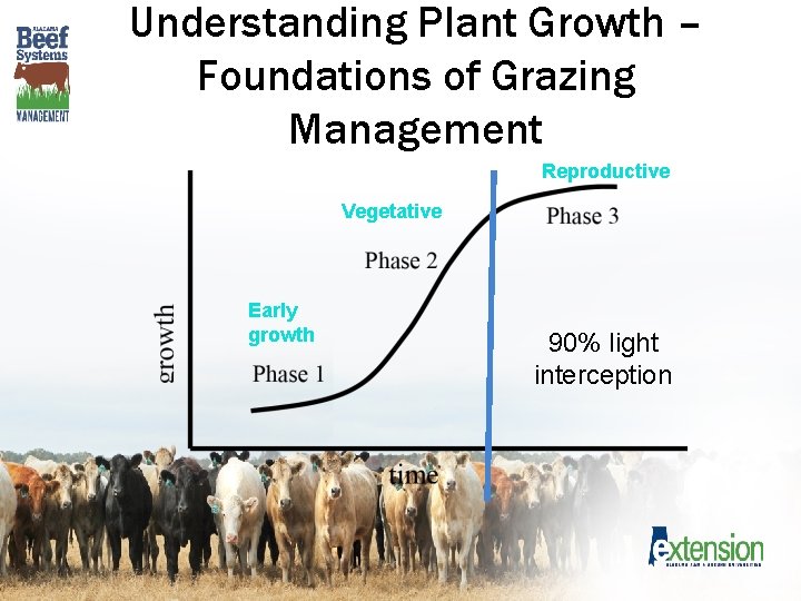 Understanding Plant Growth – Foundations of Grazing Management Reproductive Vegetative Early growth 90% light