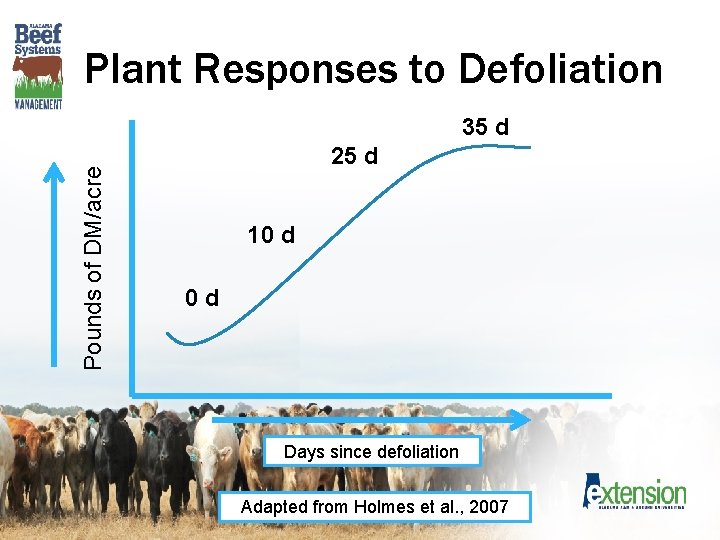 Plant Responses to Defoliation Pounds of DM/acre 35 d 25 d 10 d 0