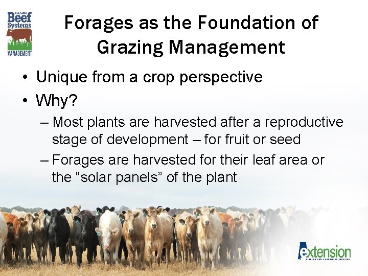 Forages as the Foundation of Grazing Management • Unique from a crop perspective •