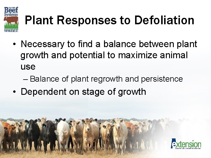 Plant Responses to Defoliation • Necessary to find a balance between plant growth and