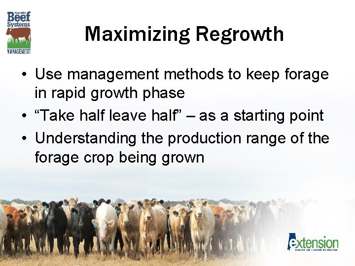 Maximizing Regrowth • Use management methods to keep forage in rapid growth phase •