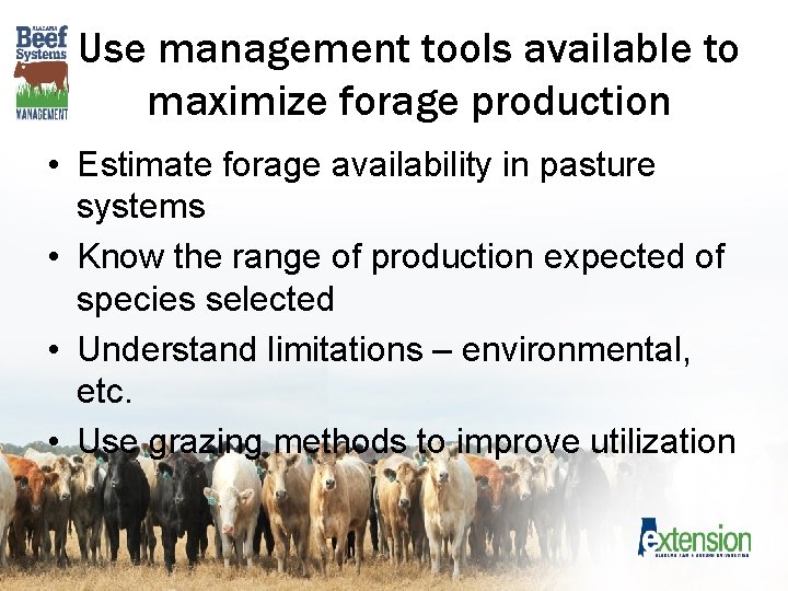 Use management tools available to maximize forage production • Estimate forage availability in pasture