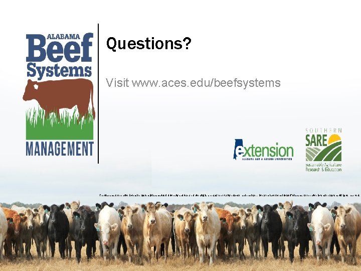 Questions? Visit www. aces. edu/beefsystems The Alabama Cooperative Extension System (Alabama A&M University and