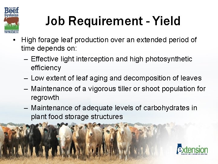 Job Requirement - Yield • High forage leaf production over an extended period of