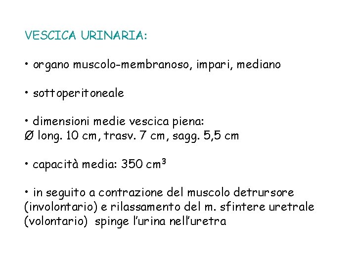 VESCICA URINARIA: • organo muscolo-membranoso, impari, mediano • sottoperitoneale • dimensioni medie vescica piena:
