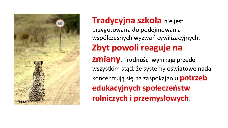 Tradycyjna szkoła nie jest przygotowana do podejmowania współczesnych wyzwań cywilizacyjnych. Zbyt powoli reaguje na