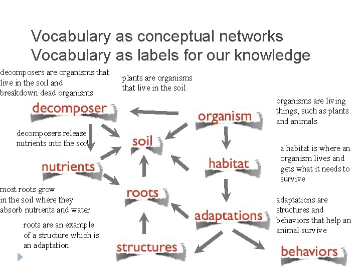 Vocabulary as conceptual networks Vocabulary as labels for our knowledge decomposers are organisms that