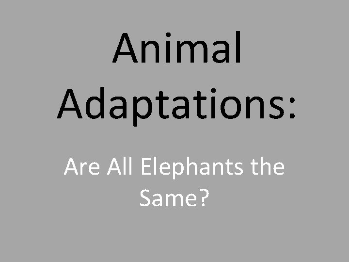 Animal Adaptations: Are All Elephants the Same? 