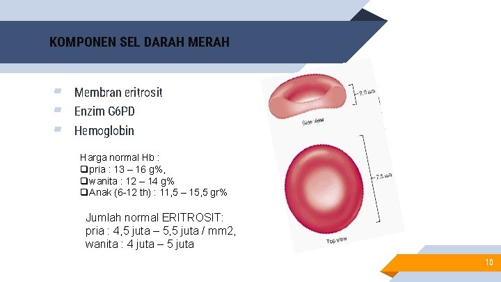 KOMPONEN SEL DARAH MERAH ▰ ▰ ▰ Membran eritrosit Enzim G 6 PD Hemoglobin