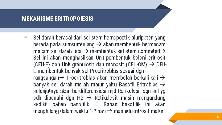 MEKANISME ERITROPOIESIS ▰ Sel darah berasal dari sel stem hemopoetik pluripoten yang berada pada