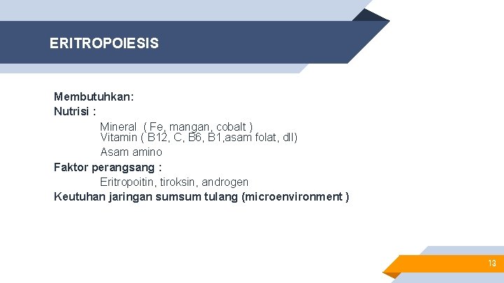 ERITROPOIESIS Membutuhkan: Nutrisi : Mineral ( Fe, mangan, cobalt ) Vitamin ( B 12,