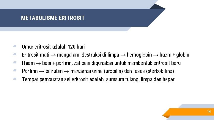 METABOLISME ERITROSIT ▰ ▰ ▰ Umur eritrosit adalah 120 hari Eritrosit mati → mengalami