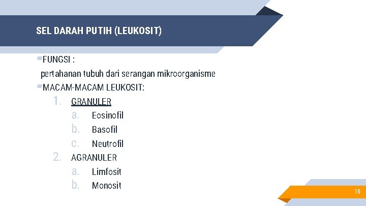 SEL DARAH PUTIH (LEUKOSIT) ▰FUNGSI : pertahanan tubuh dari serangan mikroorganisme ▰MACAM-MACAM LEUKOSIT: 1.