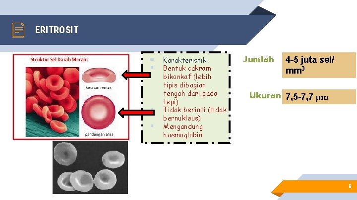 ERITROSIT ▰ § § § Karakteristik: Bentuk cakram bikonkaf (lebih tipis dibagian tengah dari