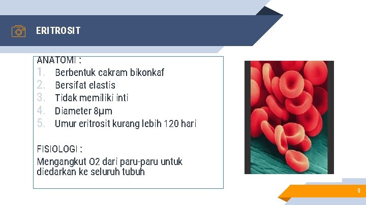ERITROSIT ANATOMI : 1. Berbentuk cakram bikonkaf 2. Bersifat elastis 3. Tidak memiliki inti