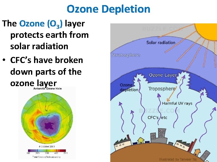 Ozone Depletion The Ozone (O 3) layer protects earth from solar radiation • CFC’s