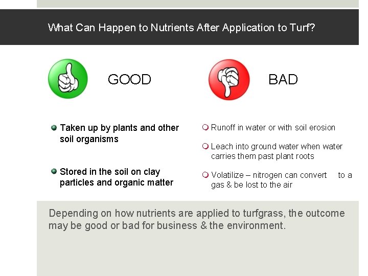 What Can Happen to Nutrients After Application to Turf? GOOD BAD Taken up by What Can Happen to Nutrients After Application to Turf? GOOD BAD Taken up by