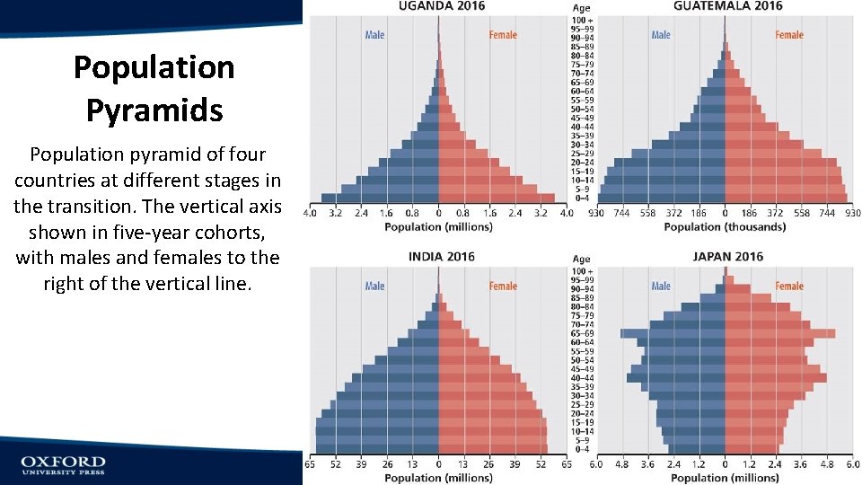 Population Pyramids Population pyramid of four countries at different stages in the transition. The