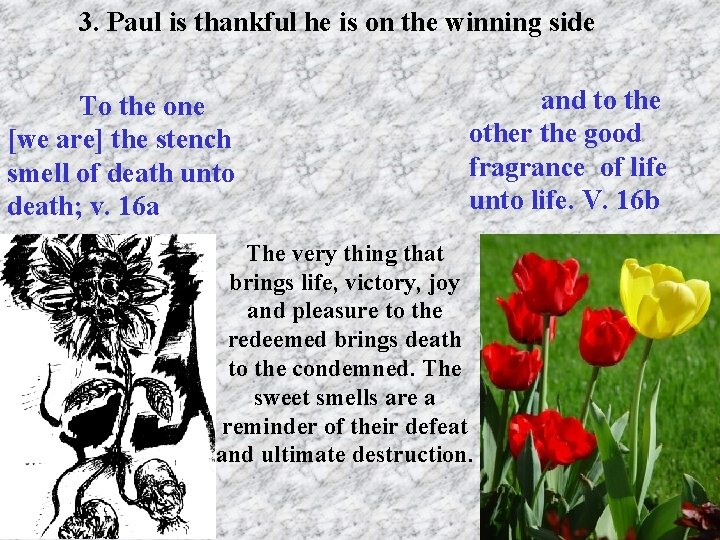 3. Paul is thankful he is on the winning side To the one [we