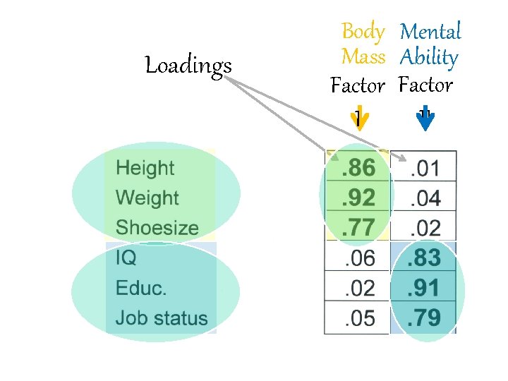 Loadings Body Mental Mass Ability Factor II I 