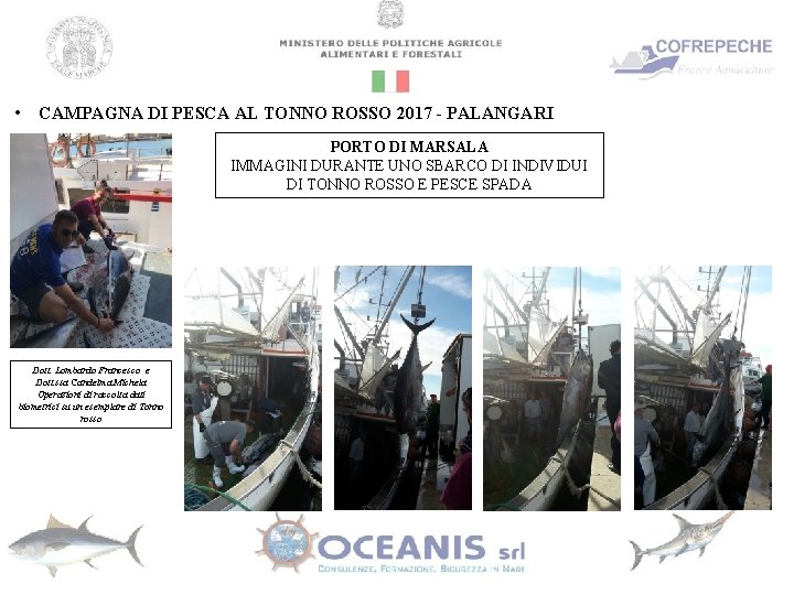  • CAMPAGNA DI PESCA AL TONNO ROSSO 2017 - PALANGARI PORTO DI MARSALA