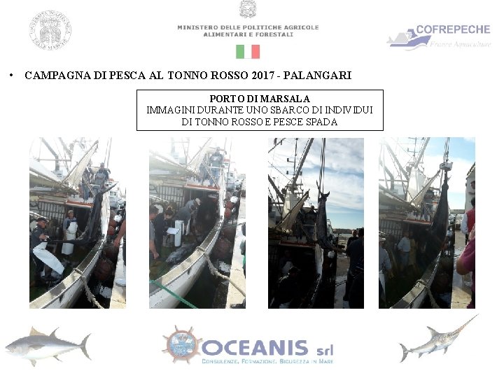  • CAMPAGNA DI PESCA AL TONNO ROSSO 2017 - PALANGARI PORTO DI MARSALA