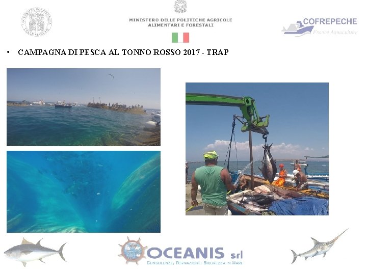  • CAMPAGNA DI PESCA AL TONNO ROSSO 2017 - TRAP 