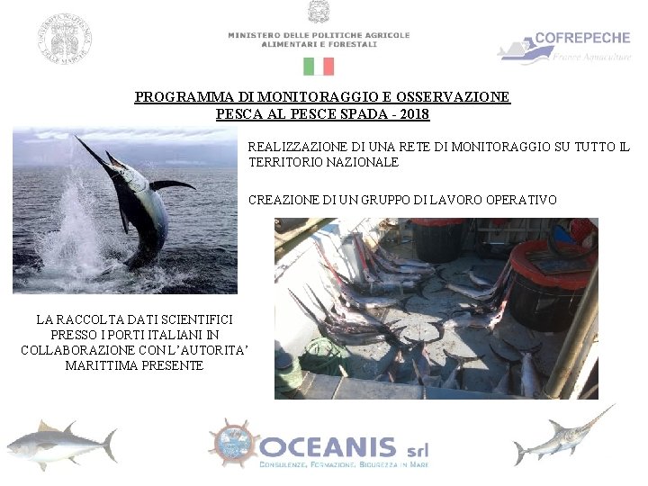 PROGRAMMA DI MONITORAGGIO E OSSERVAZIONE PESCA AL PESCE SPADA - 2018 REALIZZAZIONE DI UNA