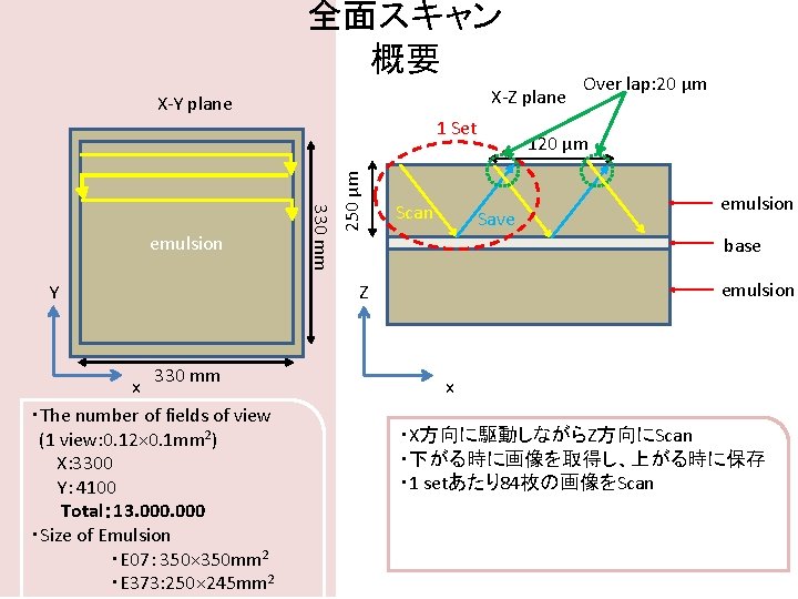 全面スキャン 概要 X-Z plane X-Y plane Y 330 mm x ・The number of fields