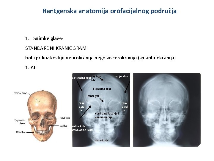Rentgenska anatomija orofacijalnog područja 1. Snimke glave. STANDARDNI KRANIOGRAM bolji prikaz kostiju neurokranija nego