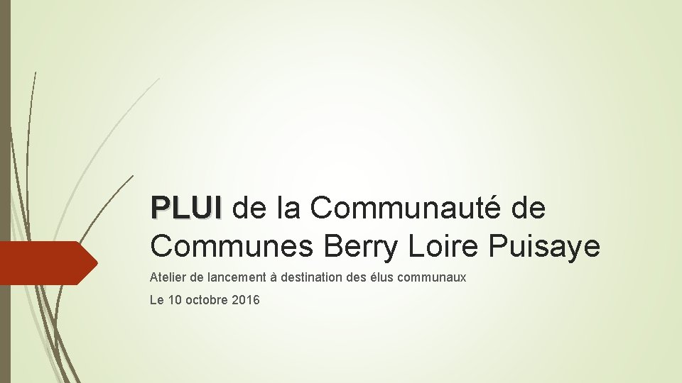 PLUI de la Communauté de Communes Berry Loire Puisaye Atelier de lancement à destination