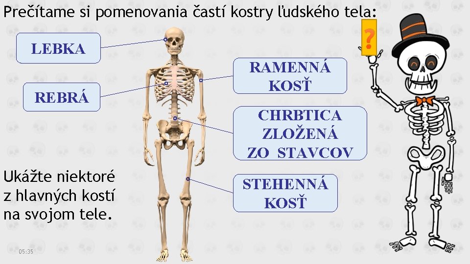 Prečítame si pomenovania častí kostry ľudského tela: ? LEBKA REBRÁ RAMENNÁ KOSŤ CHRBTICA ZLOŽENÁ