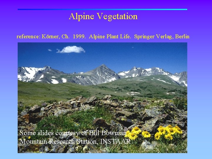 Alpine Vegetation reference: Körner, Ch. 1999. Alpine Plant Life. Springer Verlag, Berlin Some slides
