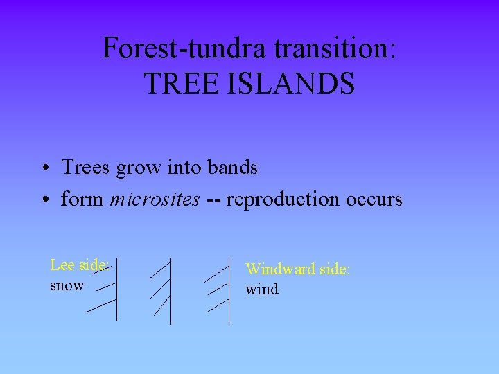 Forest-tundra transition: TREE ISLANDS • Trees grow into bands • form microsites -- reproduction