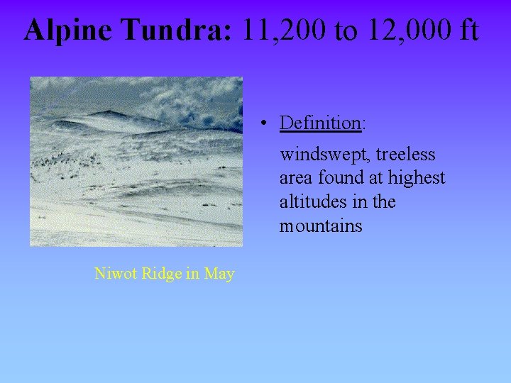 Alpine Tundra: 11, 200 to 12, 000 ft • Definition: windswept, treeless area found