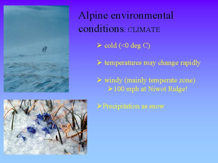 Alpine environmental conditions: CLIMATE Ø cold (<0 deg C) Ø temperatures may change rapidly