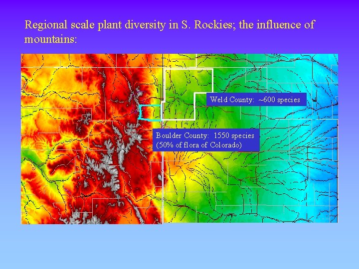 Regional scale plant diversity in S. Rockies; the influence of mountains: Weld County: ~600