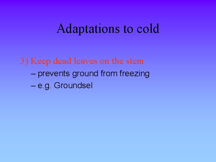 Adaptations to cold 3) Keep dead leaves on the stem – prevents ground from