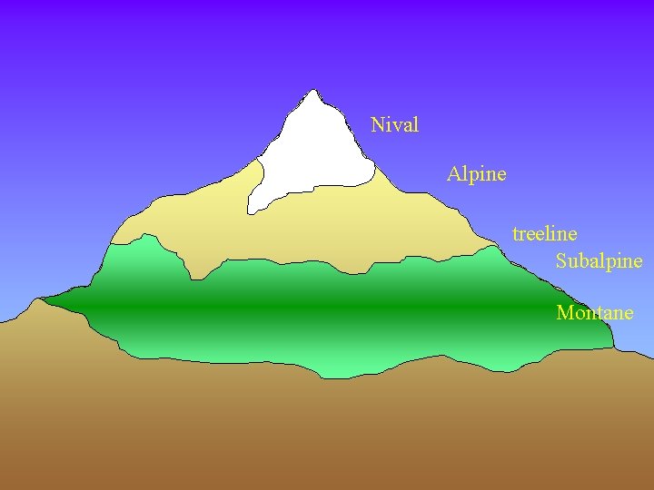 Nival Alpine treeline Subalpine Montane 