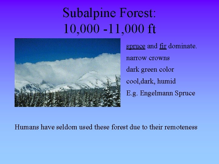 Subalpine Forest: 10, 000 -11, 000 ft spruce and fir dominate. narrow crowns dark