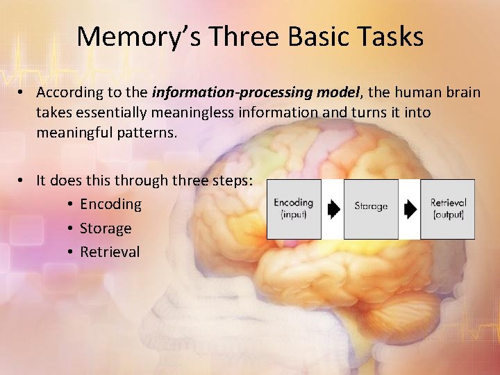 Memory’s Three Basic Tasks • According to the information-processing model, the human brain takes