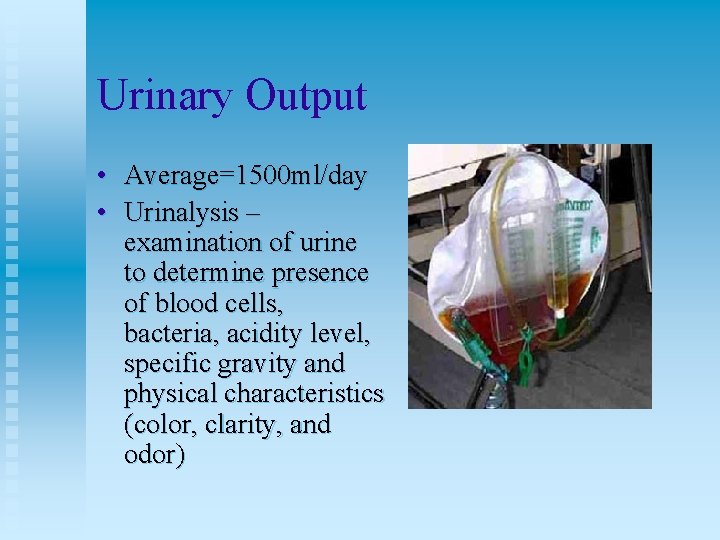 Urinary Output • Average=1500 ml/day • Urinalysis – examination of urine to determine presence
