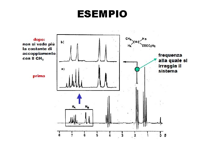 ESEMPIO ESEMPIO
