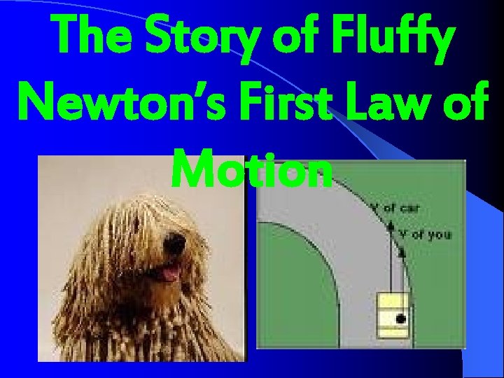 The Story of Fluffy Newton’s First Law of Motion 