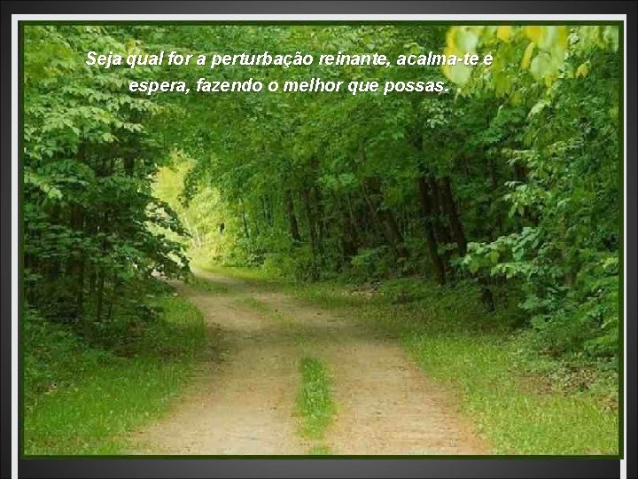 Seja qual for a perturbação reinante, acalma-te e espera, fazendo o melhor que possas.