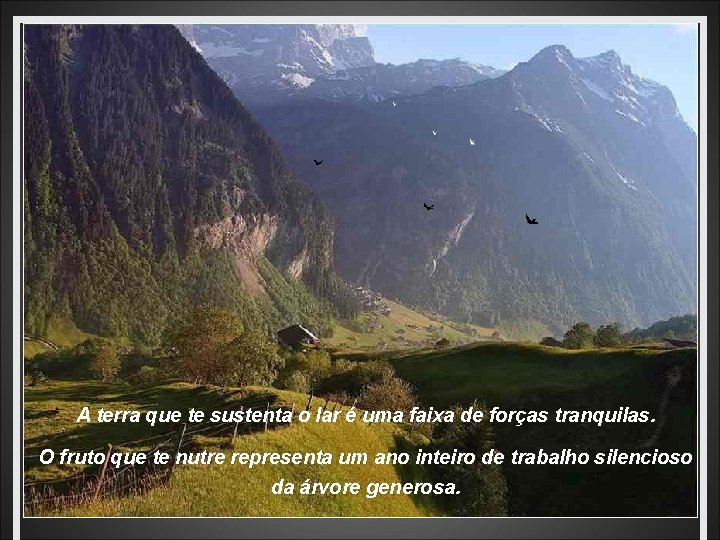 A terra que te sustenta o lar é uma faixa de forças tranquilas. O