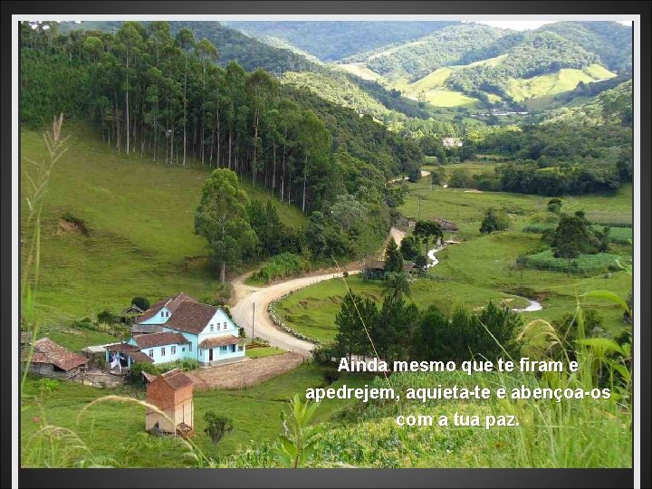 Ainda mesmo que te firam e apedrejem, aquieta-te e abençoa-os com a tua paz.