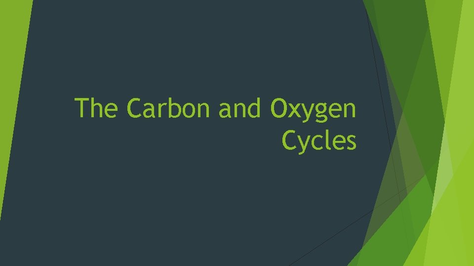 The Carbon and Oxygen Cycles 