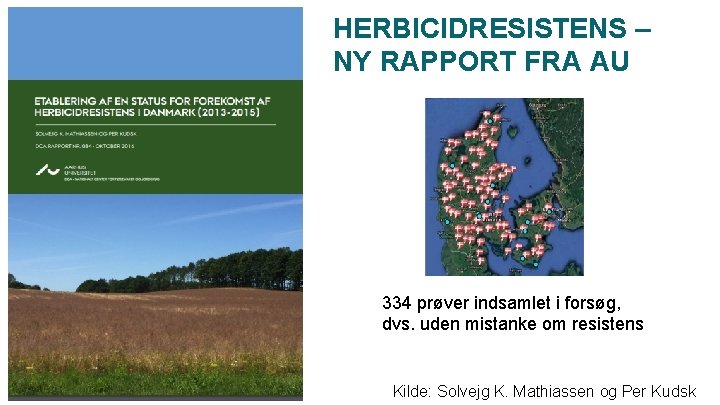 HERBICIDRESISTENS – NY RAPPORT FRA AU 334 prøver indsamlet i forsøg, dvs. uden mistanke