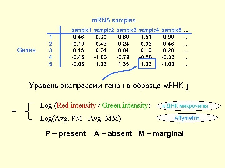 m. RNA samples sample 1 sample 2 sample 3 sample 4 sample 5 …